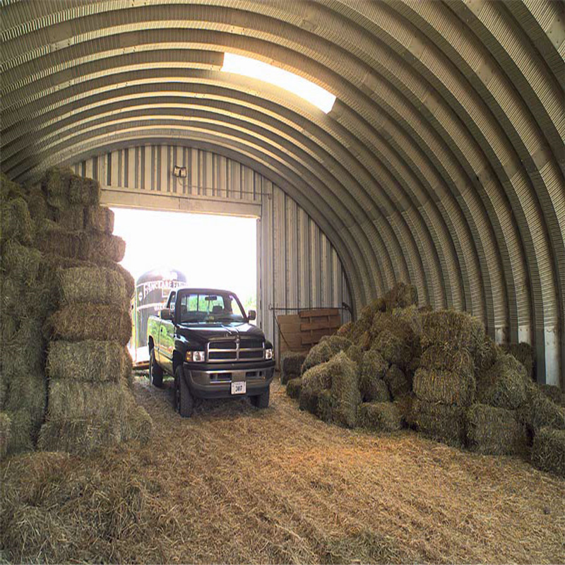 metal-buildings-agricultural-steel-storage-s-model.jpg